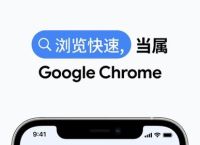 下载谷歌浏览器并安装,浏览器下载2025最新版本