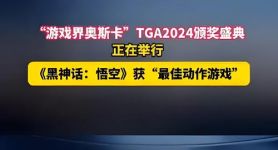 关于tga游戏平台的信息