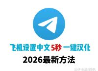 飞机怎么设置中文语言模式,飞机怎么设置中文语言模式的