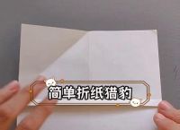 猎豹纸飞机怎么折,猎豹纸飞机怎么折飞得远,要用什么纸最好?