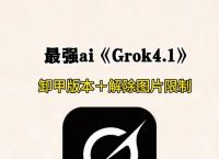 grokapi开发者,mockgps开发者选项打不开
