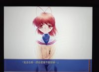 包含galgame游戏资源网站直装的词条