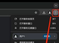 谷歌网页版下载,谷歌网页下载不了文件怎么办