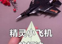 俄罗斯纪录纸飞机,世界纪录的纸飞机怎么叠
