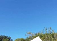 纸飞机低版本大全,纸飞机低版本大全直登