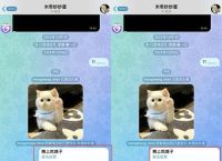 telegram极搜,telegram极搜入口