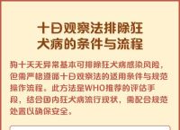 十日观察法狗狗到15天死了,十日观察法狗没死还要打疫苗么