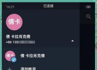 纸飞机的客户端在哪里找,纸飞机app中文版设置方法