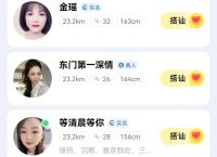 飞机聊天交友app官网下载,飞机聊天交友app官网下载苹果