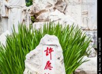 男子跳入著名景点许愿池游泳的简单介绍