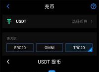 虚拟币地址怎么填写,虚拟币地址怎么填写的