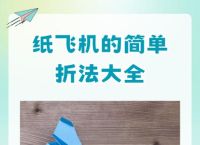 纸飞机中文,纸飞机中文安装