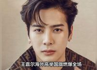 关于王嘉尔阿根廷演唱会举国旗的信息