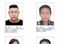 娄底诈骗案通缉犯照片,湖南娄底网上通缉犯名单