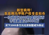 虚拟币犯法嘛,虚拟币交易是违法的吗