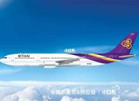 [TG飞机号]TG是什么航空公司