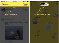 [苹果纸飞机怎么下载]纸飞机app苹果如何安装