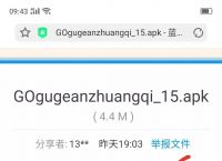googleplay服务是什么意思啊-googleplay服务是什么意思删除吗