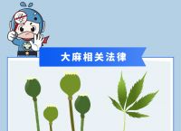 bitkeep在中国合法吗-bitkeep钱包是冷钱包吗