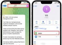 关于telegram为什么叫电报的信息