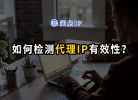 包含telegram免费socks52021的词条