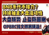 op币价格最新价格的简单介绍