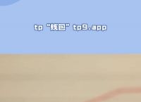 tp钱包能买pig吗,tp钱包买htmoon