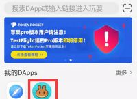 怎么在tp钱包购买币,tp钱包bnb怎么买币
