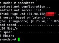 免费vpsios,免费vps试用3小时加速器