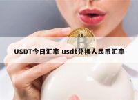 usdt兑换ht,USDT兑换人民币实时汇率