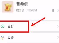 tb钱包怎么转账给别人微信,在tb钱包怎么买bobydoge
