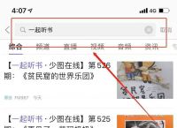 纸飞机中文语言安装包,纸飞机安装zh_cn语言包