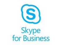 skype苹果版下载中文版,skype iphone版下载