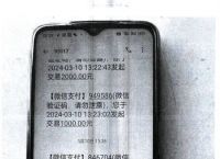 关于明明转账成功却一直没到账的下载术的信息