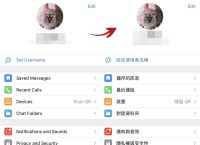telegraph中文版聊天,telegraph安卓中文版聊天