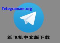 纸飞机官网下载,纸飞机官网下载最新版