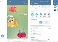 纸飞机语言中文包设置,纸飞机如何设置中文版本
