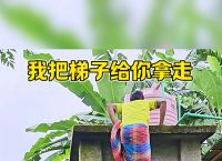 手机如何搭梯子看电影,手机怎么搭梯子到外网免费