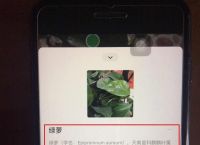 纸飞机的扫一扫功能在哪里的简单介绍