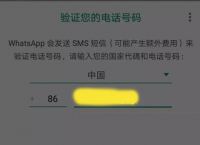 whatsapp在中国可以用吗?,whatsapp在中国能用吗2020