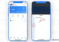 token钱包密码忘了怎么办,tokenpocket钱包忘记验证密码
