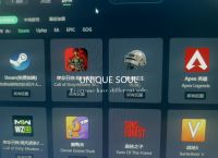 关于2023年加速器国外应用的信息