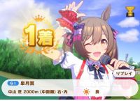 怎么在国内玩赛马娘,怎么在国内玩赛马娘手游