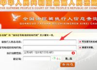 信用中国官网查询,信用中国官网查询企业征信报告