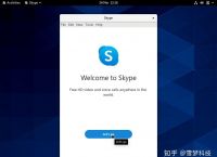 skype什么意思中文,skype是什么意思中文