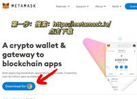 小狐狸钱包怎么玩,小狐狸钱包怎么玩的