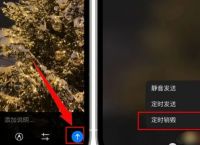 纸飞机ios中文,纸飞机ios中文包