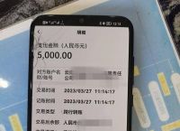 有转账记录能把钱追回来吗,有转账记录能把钱追回来吗安全吗