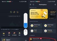 币安app官网下载,币 安app怎么下载