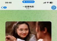 纸飞机汉化版,纸飞机汉化版怎么设置